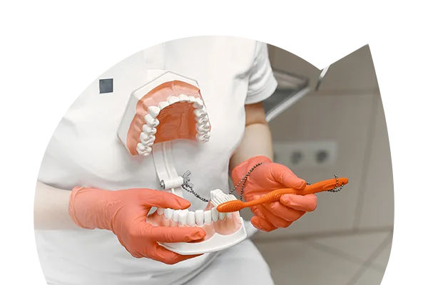 Curso de Prótese Dentária – Apoio e Técnicas Laboratoriais 