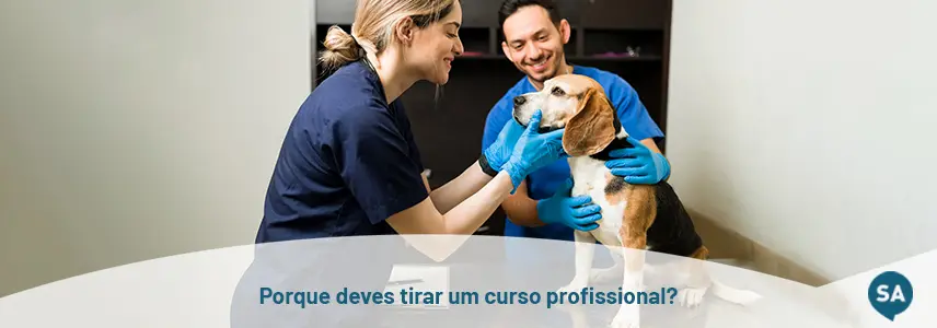 Veterinário e auxiliar clínica veterinária assistirem um cão, esta imagem salienta o curso profissional